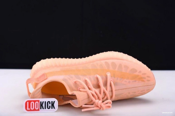 350 Adidas GW2870 Boost Yeezy V2 